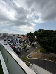 Simon Lane (D19), Terrace #561166071